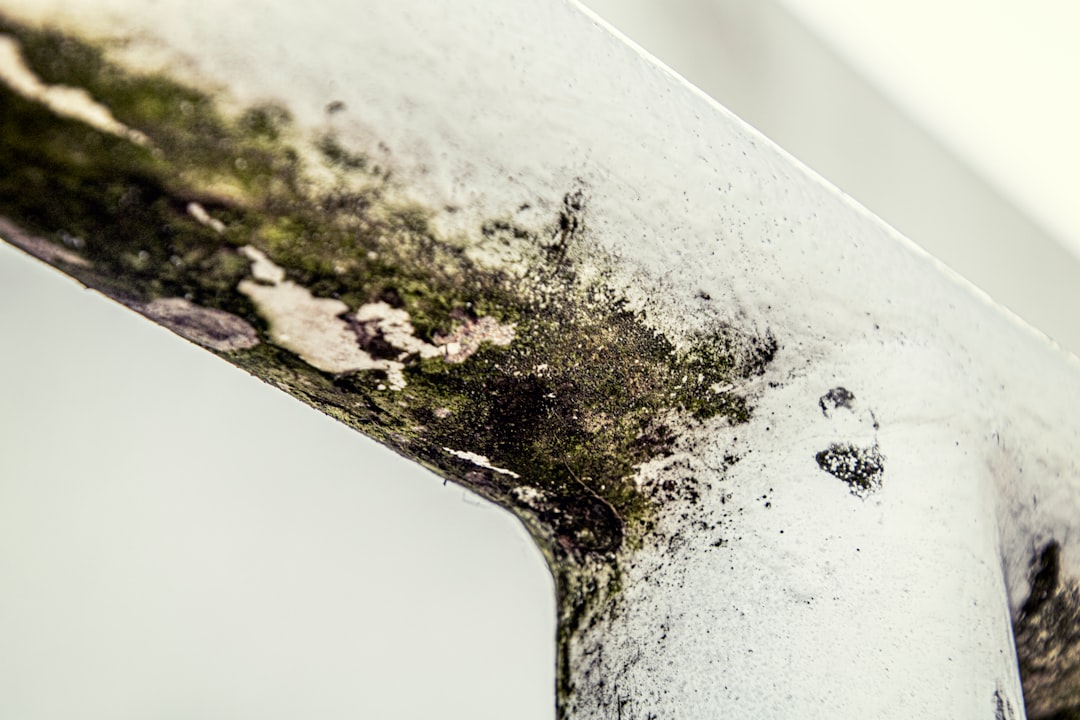 a close up of a piece of metal with moss growing on it