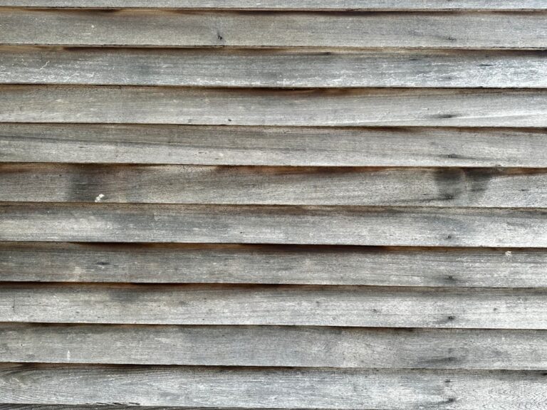 Wandpaneele Holz: Kaufratgeber, Modelle & Praxis-Tipps